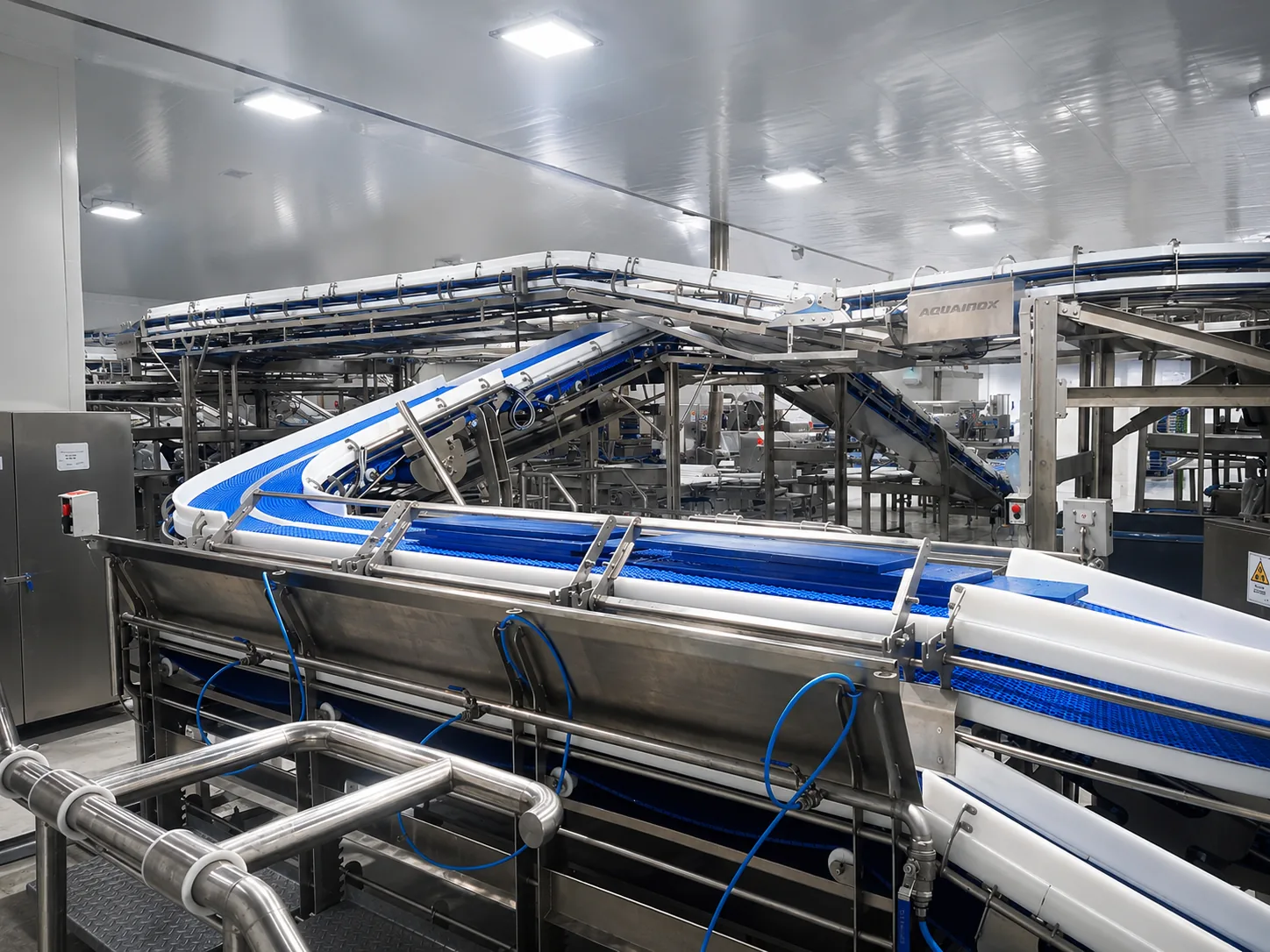 Líneas de transporte y distribución de filetes en Cermaq Quemchi